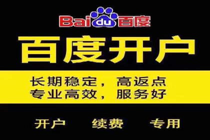 成功运用SEM服务实现品牌快速成长的案例